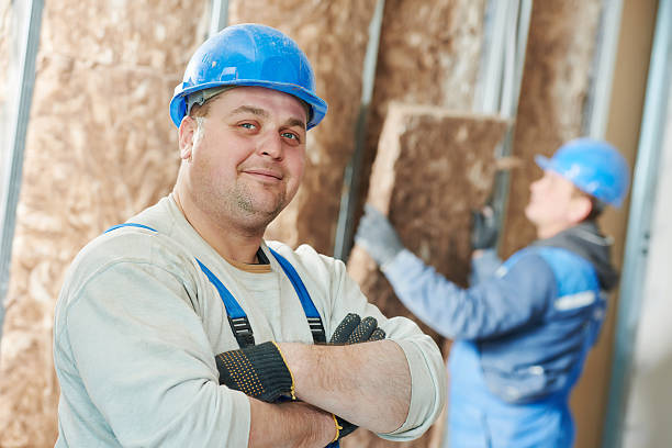 Best Insulation Installation Services in Elk Rapids, MI